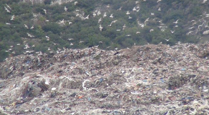 Bu ilçede oturanlar kokudan halk otobüslerine binemiyor