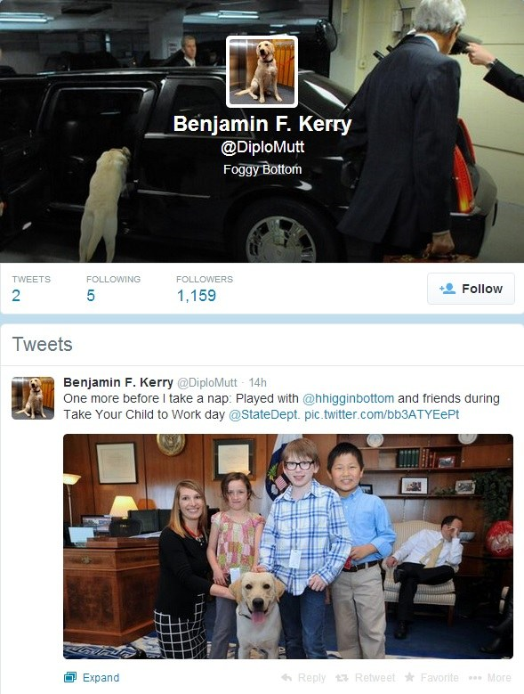 Bakan köpeğine Twitter hesabı açıldı