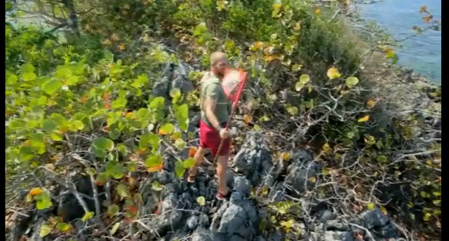 Tolga Karel, Survivor adasını terk etti!