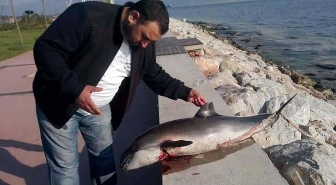 Körfez'de endişenlendiren ölümler