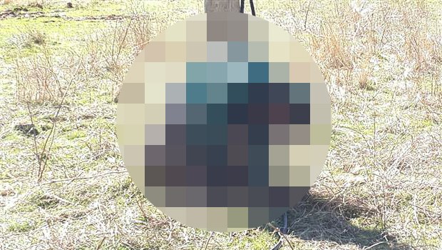 Telefon direğinde kurşuna dizilen kişi köy korucusu çıktı