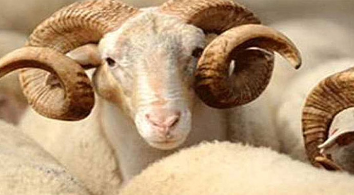 2015 Bayram Tatili kaç gün, ne zaman (KURBAN BAYRAMI TATİLİ KAÇ GÜN)