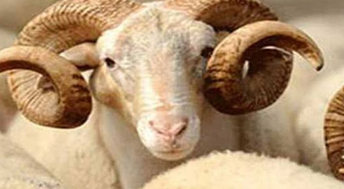 Kurban Bayramı Tatili Kaç Gün, açıklandı  (Kurban Bayramı 9 Gün Kimlere tatil)