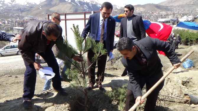 Hakkari'de Erdoğan için hatıra ormanı