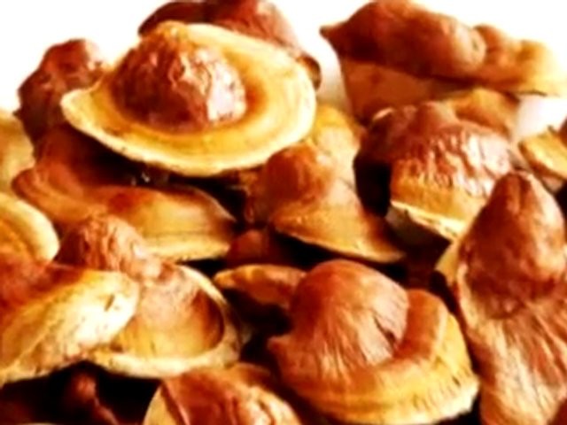 Bu mantarın kilosu 1000 lira!