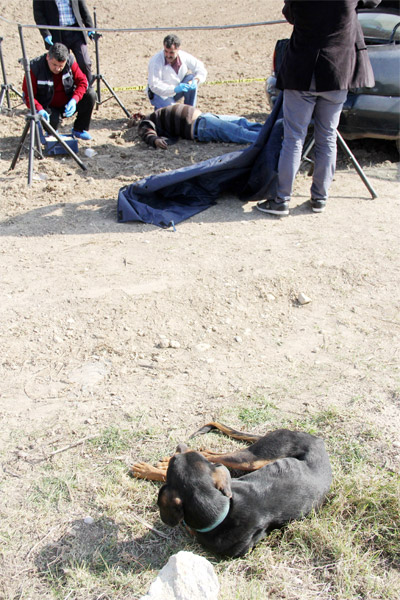 Av köpeği, sahibinin cesedinin başından hiç ayrılmadı