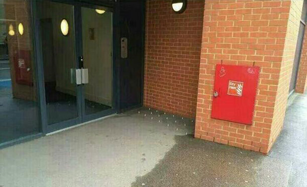 Londra'da insanlık dışı skandal uygulama
