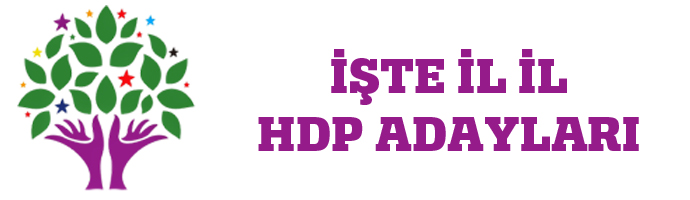 2015 İl İl Milletvekili Aday Listeleri - YSK (AK Parti, MHP, CHP, HDP)