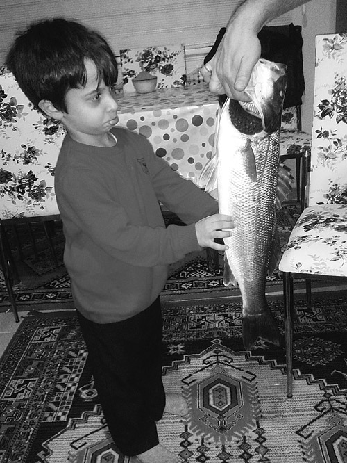 Taşı toprağı balık!