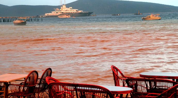 Bodrum'da deniz bir anda kahverengi oldu