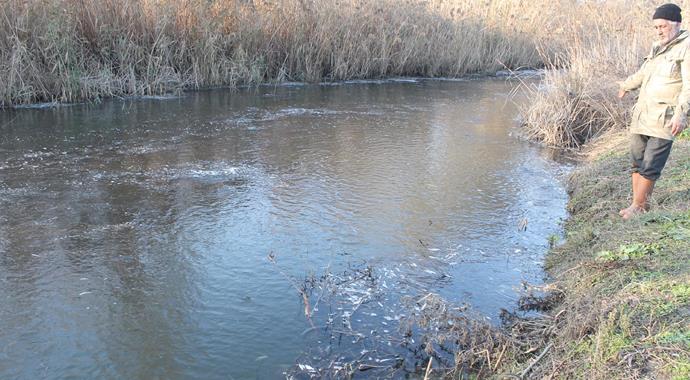 Manyas'ta endişelendiren gelişme