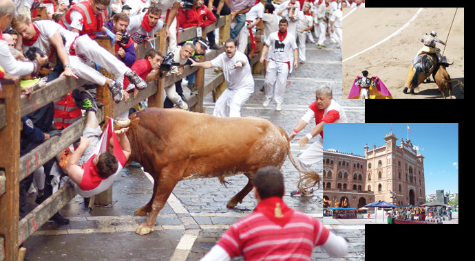 Seyirci 'Oley oley!' diyor Arena kana bulanıyor