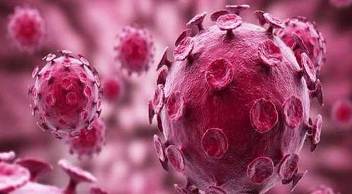 Mers ve Ebola Virüsü nedir? Detaylı bilgi