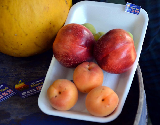 Yaz meyveleri kışın el yakıyor