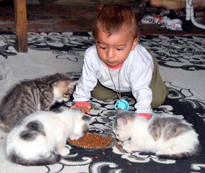 Aynı evde yaşıyorlar ama biri tok biri aç!