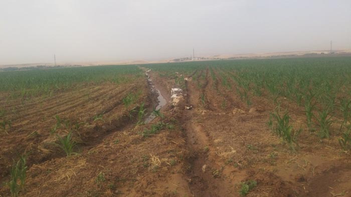 PKK'lılar BOTAŞ'ın petrol boru hattını patlattı