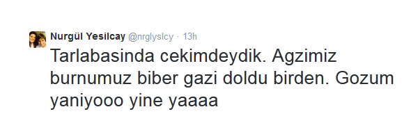 Nurgül Yeşilçay, 'Kobani gazı'na yakalandı!