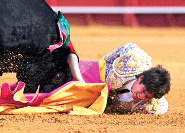 Seyirci 'Oley oley!' diyor Arena kana bulanıyor