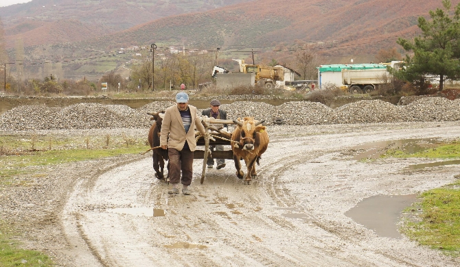 İki oğlu da aynı şekilde ölünce tövbe etti