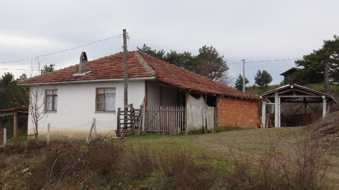 CHP'li Bekaroğlu'nun yeğeninin evlilik oyunu, 1 cana mal oldu