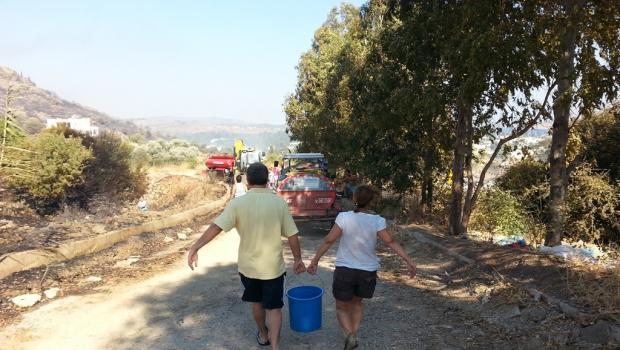 Atılan sigara izmariti 14 hektar alanı küle çevirdi