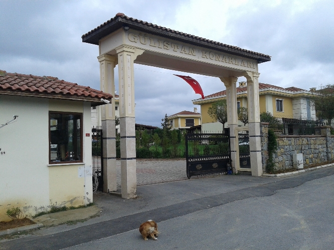 Deniz Seki'nin yeri bulundu!