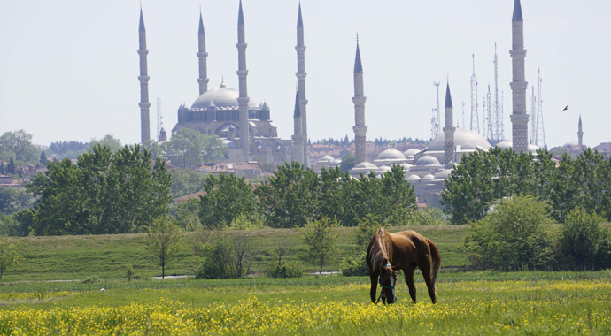 Vali o çobanın maaşını açıkladı, 'Benim müdürüm o kadar almıyor'