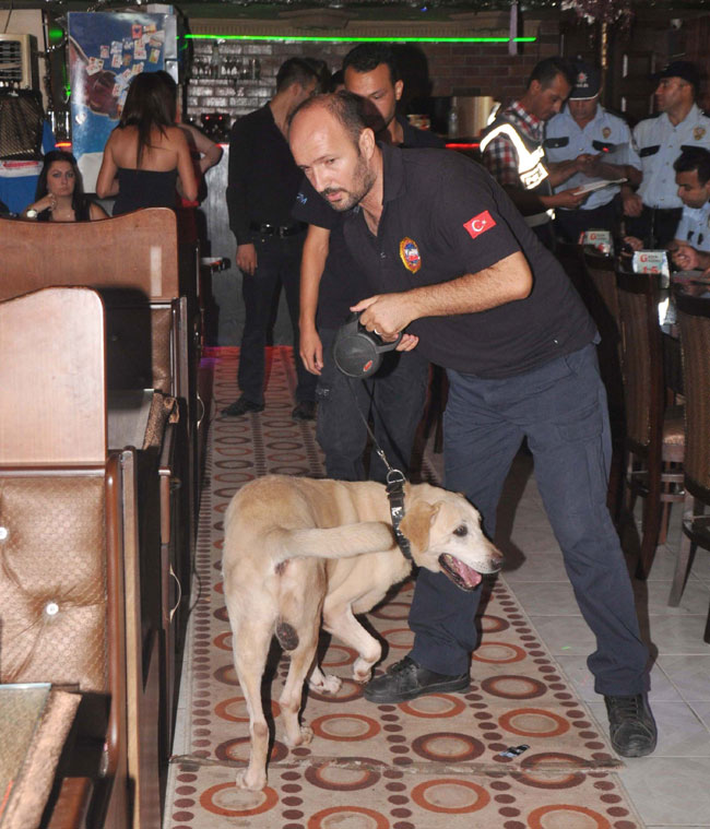 Bin polis, bar ve pavyonları didik didik etti