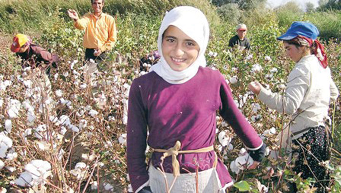Çözümün ve işsizliğin anahtarı GAP oldu