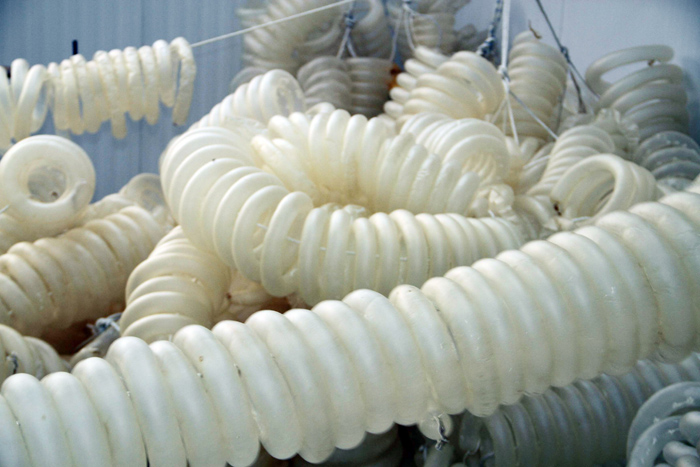 Avrupa bunun için kapımıza dizildi