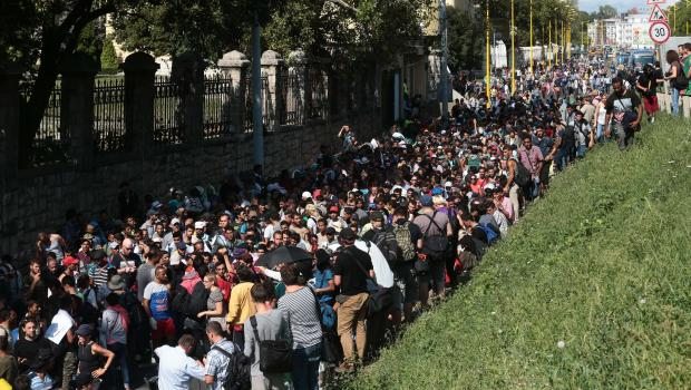 Sığınmacılar yürüyerek Avusturya'ya gidiyor