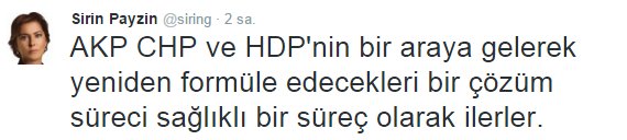 Şirin Payzın'ın HDP sevinci