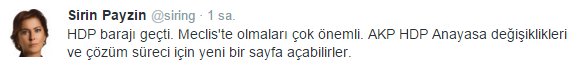 Şirin Payzın'ın HDP sevinci