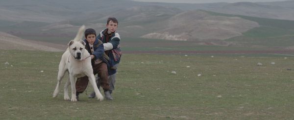 'Sivas'ın küçük yıldızına Venedik'te 'büyük ödül