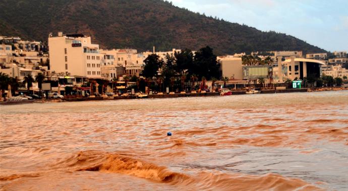 Bodrum'da deniz bir anda kahverengi oldu