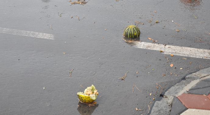 Soma'da evleri su bastı