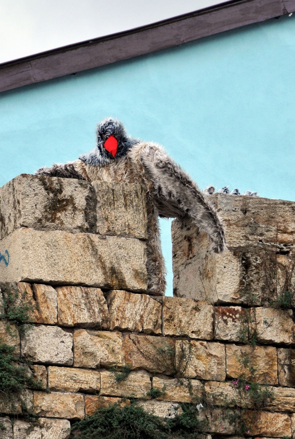 Kuş olup uçmak istedi ama....