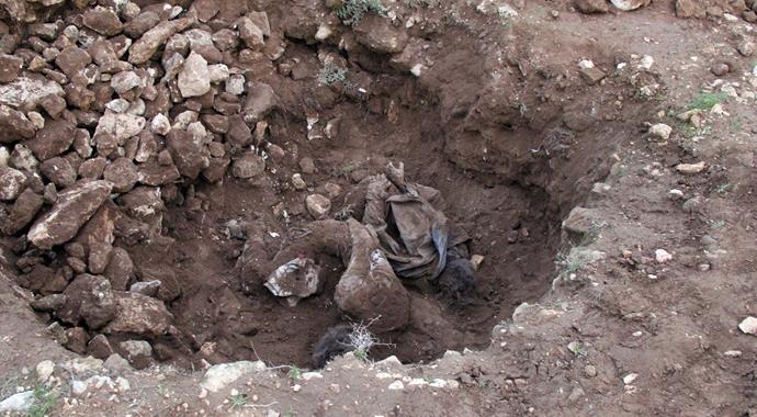 Şanlıurfa'da çobanlar toprağa gömülü 2 ceset buldu