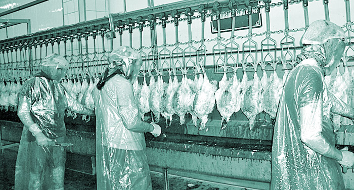 Bakmayın ellerindeki bıçağa en çok besmeleyi onlar çekiyor!