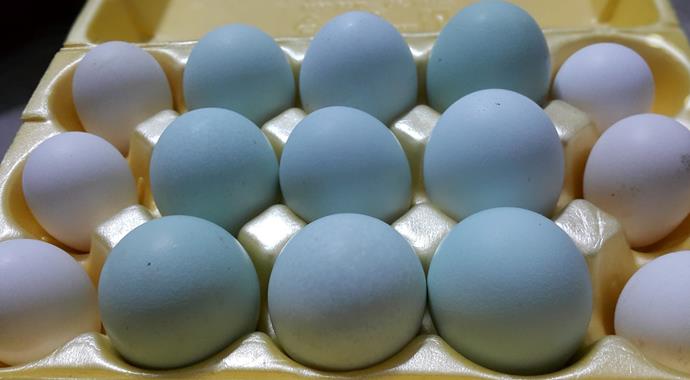 'Osmanlı sultan tavuğu'nun dudak uçuklatan fiyatı