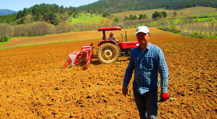Kaz Dağları'nda yetişen 'Kinoa' besini 10 kilo ete eşdeğer!