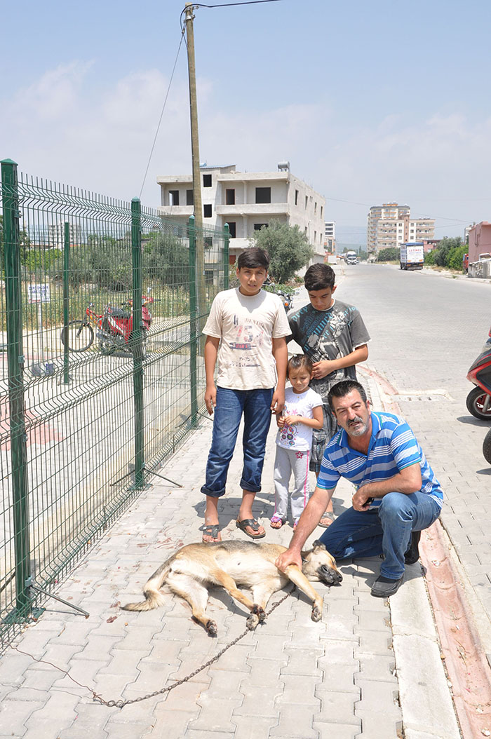 Köpeği motosikletin arkasına bağladı ve...