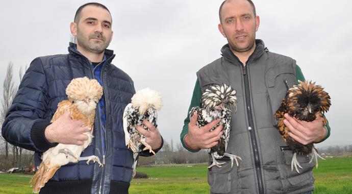 'Osmanlı sultan tavuğu'nun dudak uçuklatan fiyatı