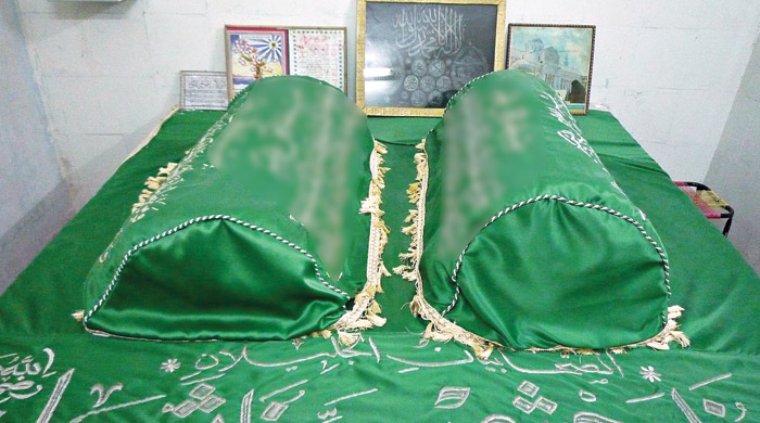 Mahzun  sahabe 'Vahşi'