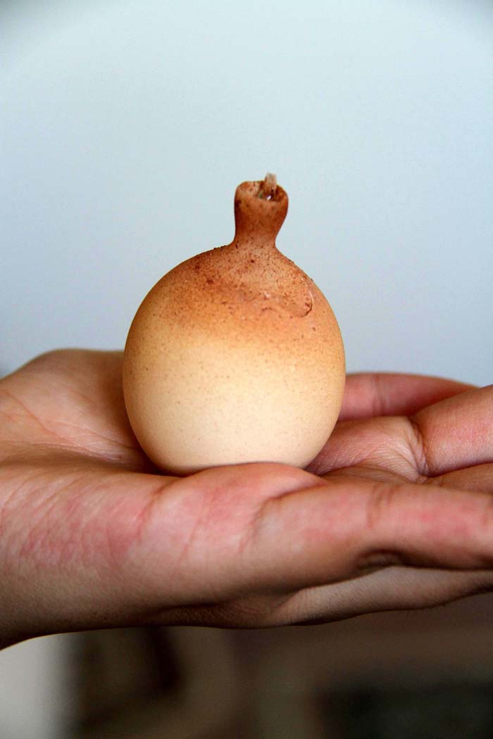 Bunun ne olduğu öğrenince çok şaşıracaksınız!