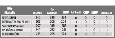 Sandık görevlisi, 'HDP'liler vatandaşa mühürü bile vermedi'