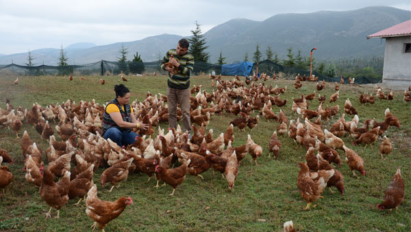 İşsiz kalınca bu işi kurdu... Şimdilik ayda 3 bin TL kazanıyor