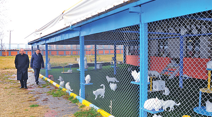 Prof. Dr. Peyami Battal: Depremle yeniden doğduk