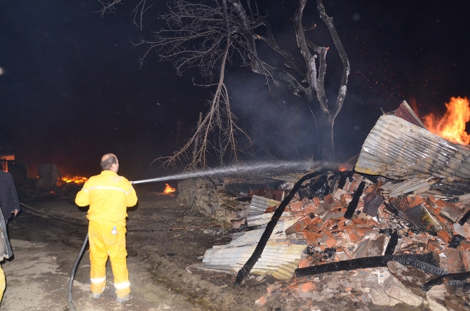 Samsun'da 7 ev kül oldu