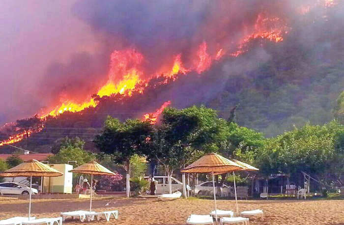 Yandı bitti kül oldu! Piknikçilerin marifeti